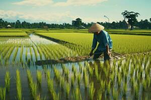 Farmer Pflanzen Reis Sämlinge im ein Paddy Feld im Vietnam. ai generiert. Profi Foto