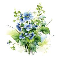 Aquarell Illustration von Gewürze. Rucola Zweige mit Rucola Blumen.ai generiert foto