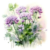 Aquarell Illustration von Gewürze. Bündel von Petersilie mit Petersilie Blumen.ai generiert foto