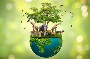 Konzept der Erhaltung von Wildtieren auf grünem Hintergrund foto