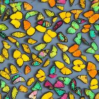 bunt Schmetterling Muster ai generieren foto