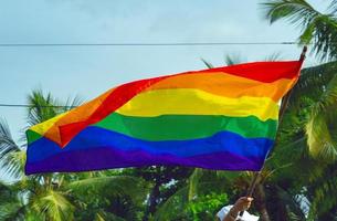 Eine Hand hält eine Regenbogenfahne der LGBTQ-Bewegung, im Hintergrund grün foto