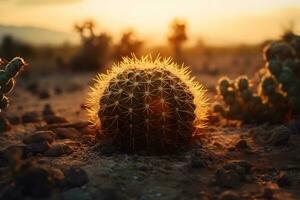 oben Aussicht von exotisch Kaktus im Wüste. neural Netzwerk ai generiert foto