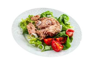 Thunfisch Salat frisch Mahlzeit Thunfisch Dosen- Essen Kochen Vorspeise Essen Snack auf das Tabelle Kopieren Raum Essen foto