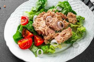 Salat Dosen- Thunfisch köstlich gesund Essen Kochen Vorspeise Mahlzeit pescetarisch Essen Snack auf das Tabelle Kopieren Raum foto