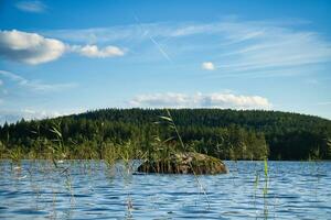 Aussicht von ein See im kleinland im Schweden. Blau Wasser mit Licht Wellen und Schilf. Blau Himmel foto