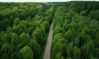 Grün Tunnel Fahren durch Wald im Sommer Erstellen mit generativ ai Werkzeuge foto