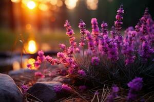 Lavendel im das Wald Natur Landschaft ai generiert foto