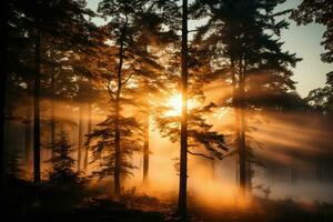 früh Morgen Wald von Ahorn Bäume ai generiert foto