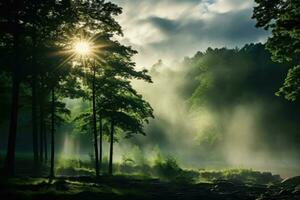 früh Morgen Wald von Ahorn Bäume ai generiert foto