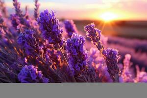 Lavendel im das Natur Landschaft ai generiert foto