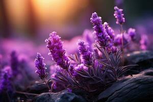 Lavendel im das Wald Natur Landschaft ai generiert foto