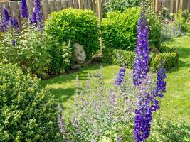 Sommerzeit im Garten foto