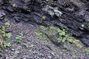 texturiert Rau Felsen mit Menge von klein Einzelheiten foto