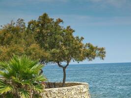 das Insel von Mallorca foto