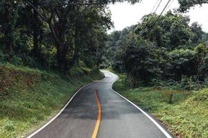 Straße im Wald Regenzeit Natur Bäume und Nebel Reisen foto