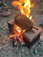 Fokus wählen, Durian wird über einen Holzkohleofen gelegt, der auf foto