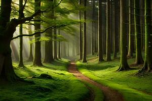 ein Pfad durch ein Grün Wald mit Bäume und Sonnenstrahlen. KI-generiert foto