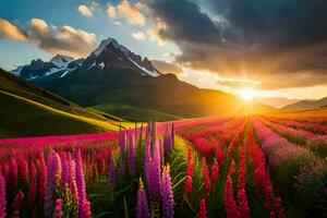 das Sonne steigt an Über ein Feld von Lupine Blumen im das Berge. KI-generiert foto