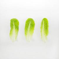 Kopfsalat. Auflösung und hochwertiges schönes Foto