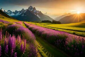 das Sonne steigt an Über ein Feld von Lavendel Blumen im das Berge. KI-generiert foto