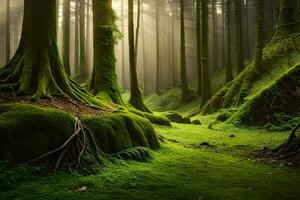 ein Wald mit Bäume und moosig Boden. KI-generiert foto