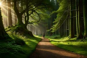 ein Mann Spaziergänge Nieder ein Pfad im das Wald. KI-generiert foto