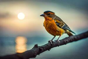 Foto Hintergrund das Himmel, Vogel, Sonnenuntergang, das Meer, Vogel, Sonnenuntergang, Vogel, Vogel. KI-generiert