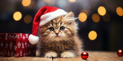 Porträt von ein Katze mit ein Santa Hut leeren Raum. generativ ai foto