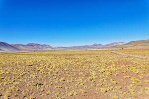 Piedras Rojas - - Atacama Wüste - - san pedro de Atacama. foto