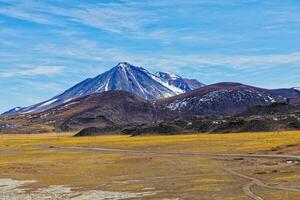 Landschaften auf das Weg zu das altiplanisch Lagunen im das Atacama Wüste - - san pedro de Atacama - - Chile foto