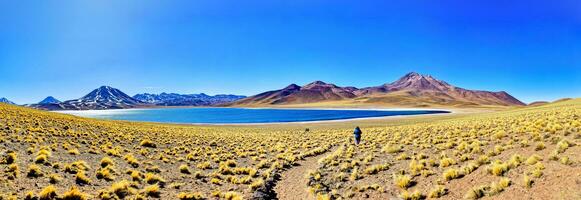 miscanti altiplanisch Lagune im das Atacama Wüste - - san pedro de Atacama. foto