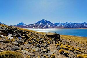 miscanti altiplanisch Lagune im das Atacama Wüste - - san pedro de Atacama. foto