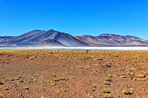 Piedras Rojas - - Atacama Wüste - - san pedro de Atacama. foto