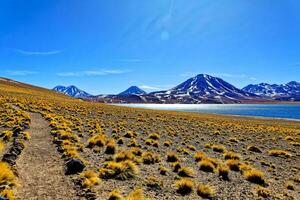 miscanti altiplanisch Lagune im das Atacama Wüste - - san pedro de Atacama. foto