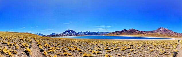 miscanti altiplanisch Lagune im das Atacama Wüste - - san pedro de Atacama. foto