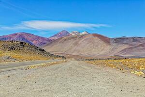 Landschaften auf das Weg zu das altiplanisch Lagunen im das Atacama Wüste - - san pedro de Atacama - - Chile foto