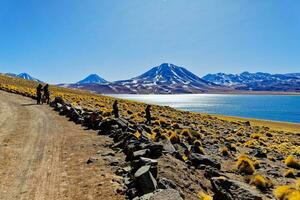 miscanti altiplanisch Lagune im das Atacama Wüste - - san pedro de Atacama. foto