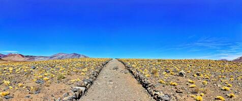 Piedras Rojas - - Atacama Wüste - - san pedro de Atacama. foto