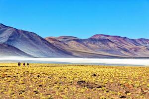 Piedras Rojas - - Atacama Wüste - - san pedro de Atacama. foto