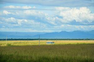 ein Aussicht von ein sonnig Tag und ein winzig Senke im das vergewaltigen Reis Feld, Weiß Wolke Senke auf das Blau Himmel. 3d Kunstwerk foto