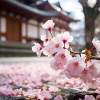 Kirsche blühen im Tokyo im Frühling ai generativ foto