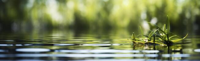 verschwommen Bild von natürlich Hintergrund von Wasser und Pflanzen. generativ ai foto