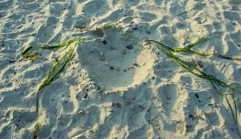 Sandstrand mit Portrait aus Naturmaterialien foto