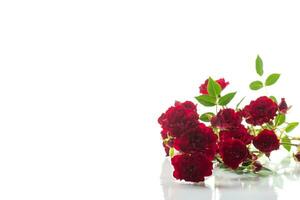 Strauß von rot klein Rosen, auf Weiß Hintergrund. foto