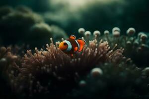 Clownfisch Marine Leben Anemone Riff. neural Netzwerk ai generiert foto