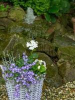 Sommerzeit im Garten foto