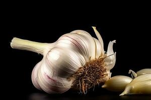 Fotos von Knoblauch im Innen- Foto Studio ai generiert