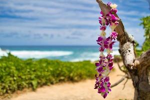 lei an der nordküste von honolulu hawaii foto