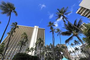 Luxushotels und Palmen am Strand von Waikiki, Hawaii foto